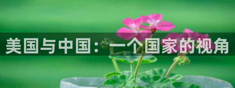 fun88环球网分析