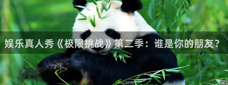 fun88city网页版登录