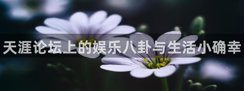 fun88环球预测