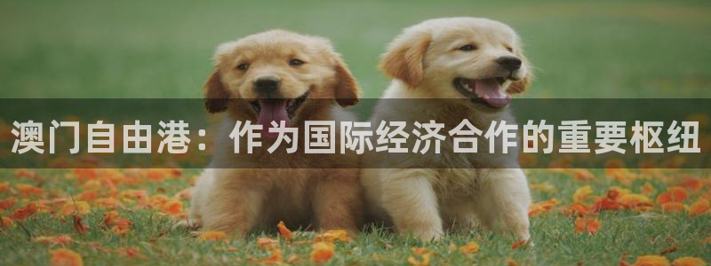 fun88·天堂乐